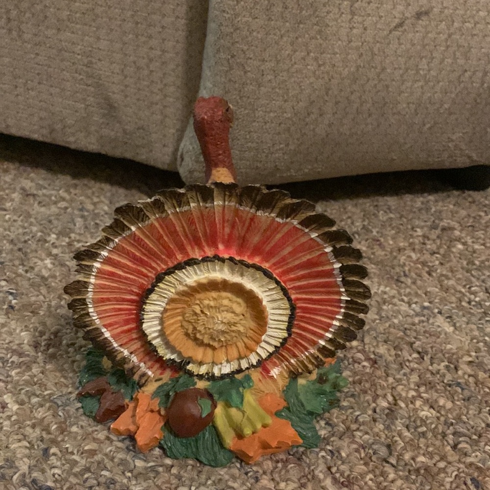 Centerpiece Turkey - Picture 3 of 5